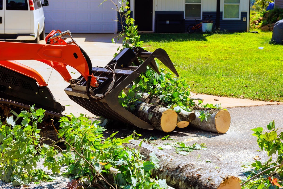 Skid steer removing fallen tree logs and yard debris from a driveway