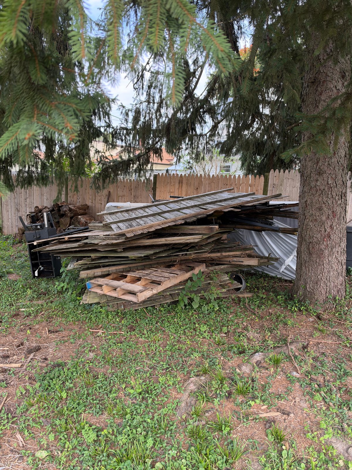 Pile of discarded metal roofing sheets and wooden pallets stacked under large trees in a grassy yard with wooden fence in background
